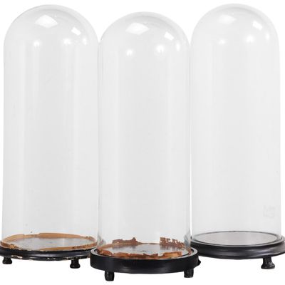 THREE ANTIQUE GLASS DOME DISPLAYS FOR CLOCKS OR SCULPTURES C 19TH CENTURY