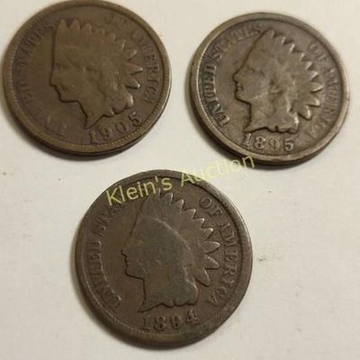 3 Indian head cents 1894,1905,1895