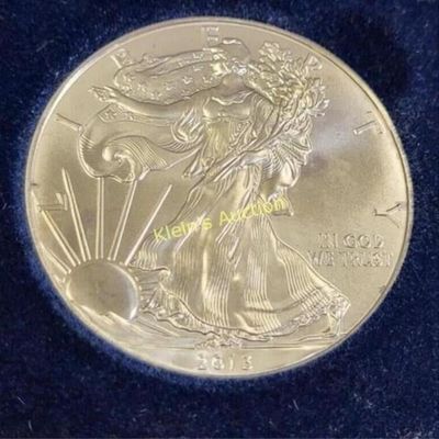 silver American eagle 1$ 2013  mint in orig holder
