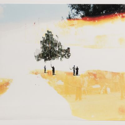 Curtis Mann (American, b.1979) 'Holding Tree Top #2' Mixed Media