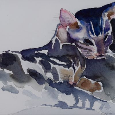 Donna Bell (21st Century) Watercolor on Paper