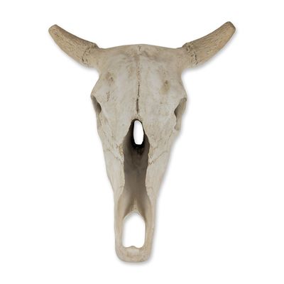 Faux Taxidermy Weathered Bison Skull Wall Decor " Rustic Resin Buffalo Mount