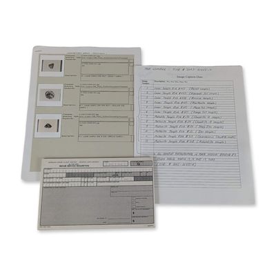 NASA Goddard Lunar Meteorite Document Collection