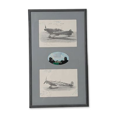 Framed Battle of Britain 50th Anniversary Autographed Print Montage