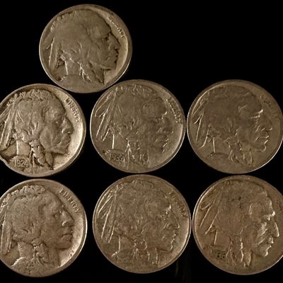 A Collection of US Buffalo Nickels