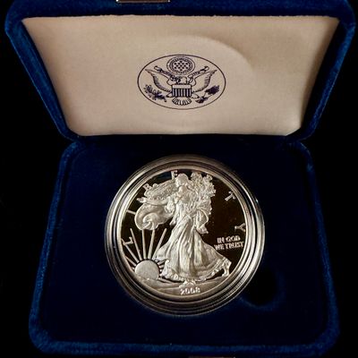 2008 US American Eagle One Ounce Silver Proof Coin