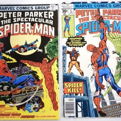 Sale Photo Thumbnail #300: (2) Peter Parker The Spectacular Spider-Man