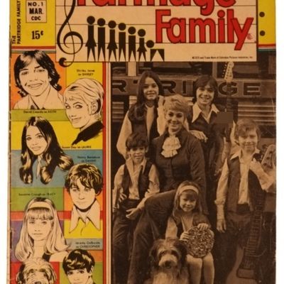 1971 The Partridge Family Charlton Comic