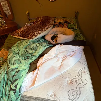 Sale Photo Thumbnail #62: nice double bed with good mattress