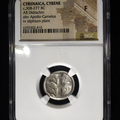 Sale Photo Thumbnail #107: c.308-277 BC AR DIDRACHM  NGC F