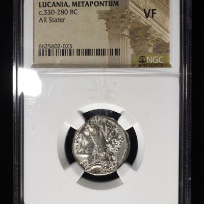 Sale Photo Thumbnail #203: c.330-280 BC LUCANIA, METAPONTUM AR STATER NGC VF