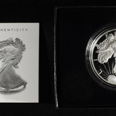 Sale Photo Thumbnail #252: 2021-S AMERICAN SILVER EAGLE PROOF