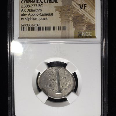 Sale Photo Thumbnail #206: c.308-277 BC AR DIDRACHM  NGC VF