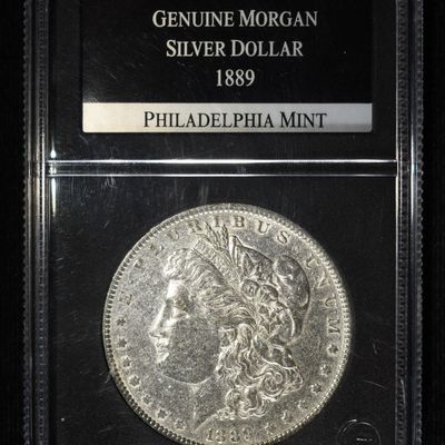 1889 MORGAN DOLLAR PCS
