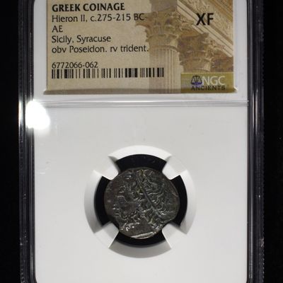 Sale Photo Thumbnail #207: c.275-215 BC HIERON II SICILY, SYRACUSE AE NGC XF
