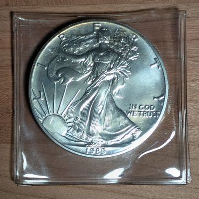 Sale Photo Thumbnail #307: 1989 United States Mint American Silver Eagle 1 Ounce Fine Silver Dollar