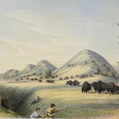 Catlin, Folio, On Card - Buffalo Hunt, Appraching in a Ravine