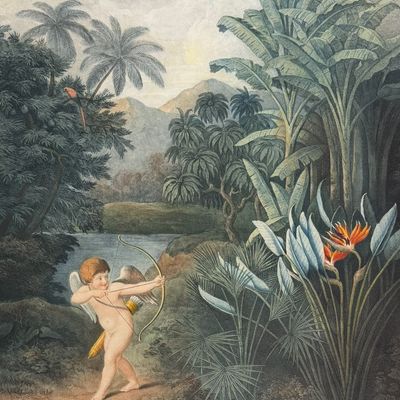 Thornton, Folio - Cupid inspiring Plants with Love