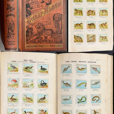 Children's Natural History Scrap Album - Volume with 90 Chromolithographed Leaves