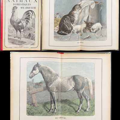 Guerin Les Animaux Domestiques: Nouvel Alphabet Illustre - Volume 12 Color Wood Engravings + In-text Illustrations