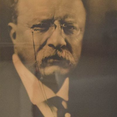 Sale Photo Thumbnail #173: Pirie MacDonald Silver Gelatin Print Portrait of Theodore Roosevelt