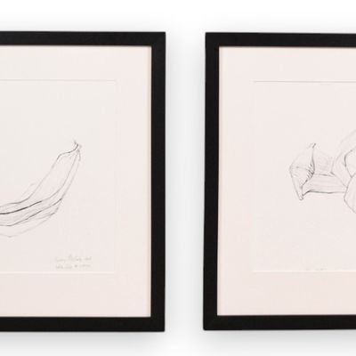 Sale Photo Thumbnail #91: Sydney McGinley Pair of Botanical Tulip Drawings