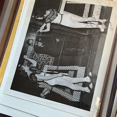 Sale Photo Thumbnail #482