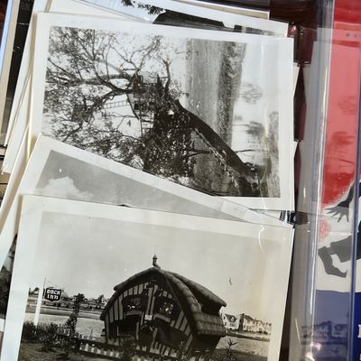 Sale Photo Thumbnail #443