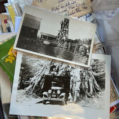 Sale Photo Thumbnail #489