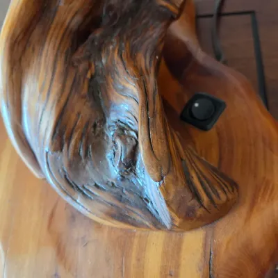 Handcrafted rustic table lamp features an organic twisted juniper wood base (2 of 2)
