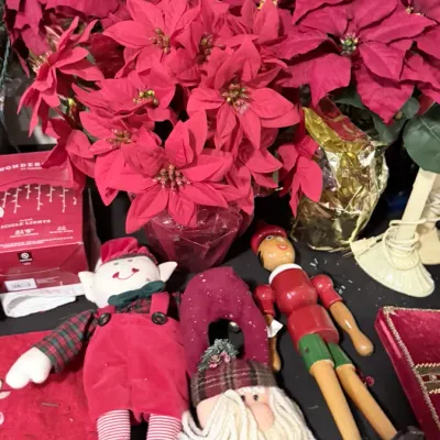 Sale Photo Thumbnail #207