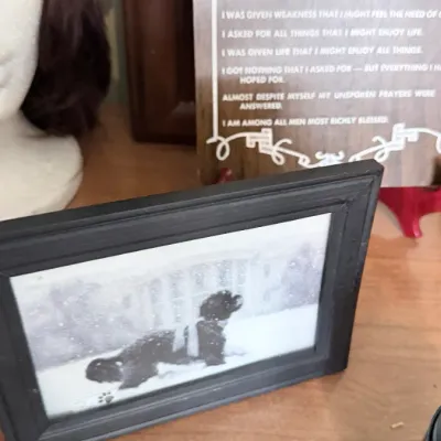 Estate sale photo