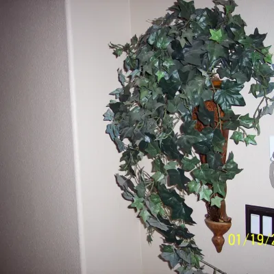 Wall sconce $20