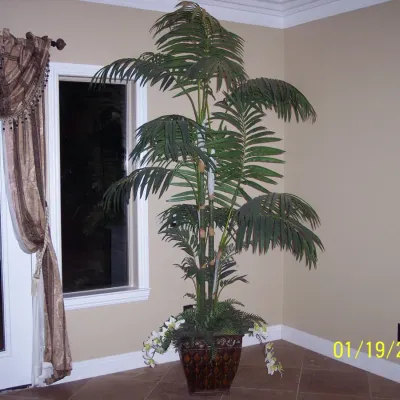 8ft tall silk palm tree pot included $45.