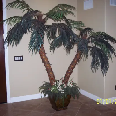 7ft tall silk palm tree pot included $45. We have 2 more