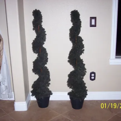 4ft tall tree pot included $25 each.
