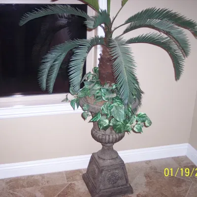 Palm with stand $25