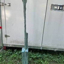 Sale Photo Thumbnail #39