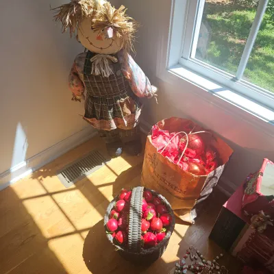 Sale Photo Thumbnail #104: Christmas 