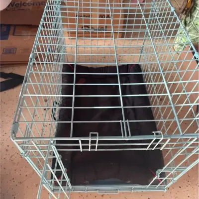 Folding Wire Dog Crate / Kennel with KONG 30-Inch Mat / Pad
