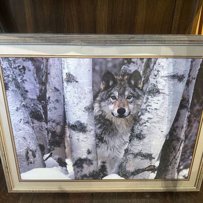 Sale Photo Thumbnail #179