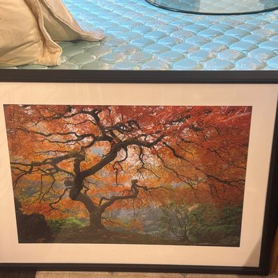 Sale Photo Thumbnail #484