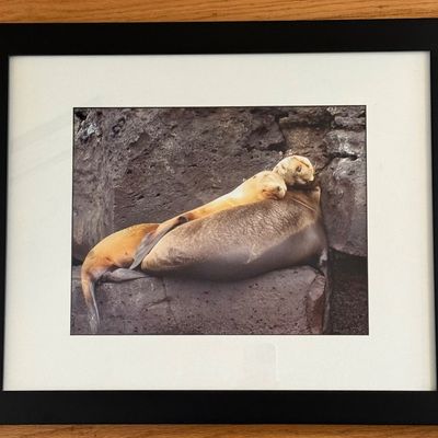 Sale Photo Thumbnail #35