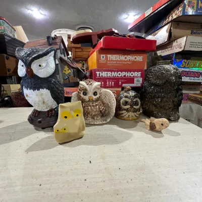 Sale Photo Thumbnail #359