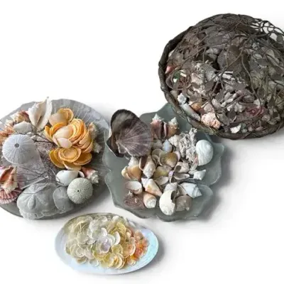 Assorted Coastal Seashell & Coral Décor Collection