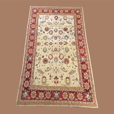 Ivory & Red Traditional Area Rug – Delicate Floral Pattern