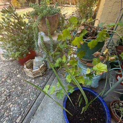 Sale Photo Thumbnail #145