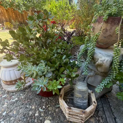 Sale Photo Thumbnail #146