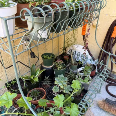 Sale Photo Thumbnail #168