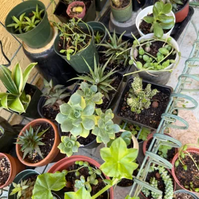 Sale Photo Thumbnail #170